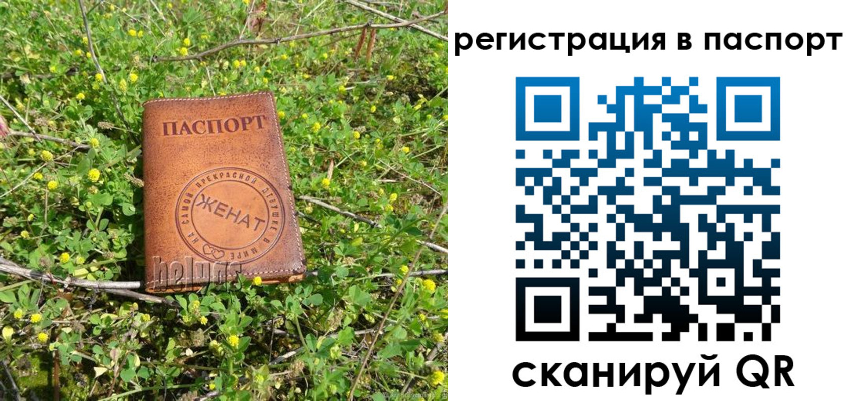 прописка законно в Карелии